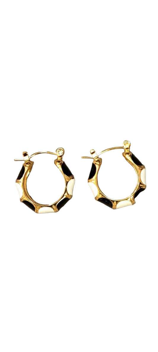 Earrings stainless steel