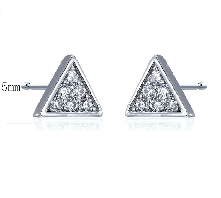 Sterling Silver 925 Female Earring (E-SN3138)