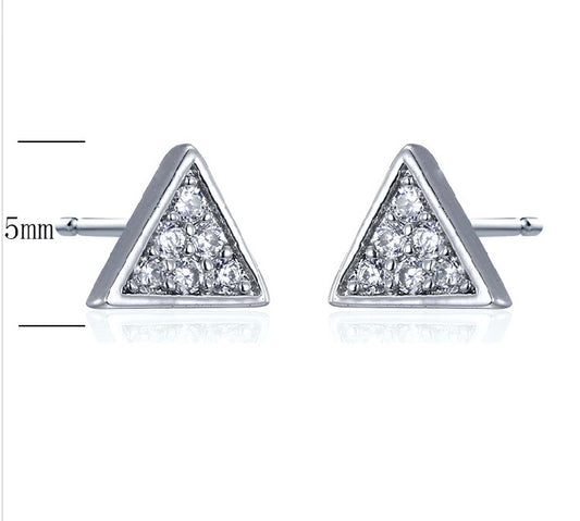 Sterling Silver 925 Female Earring (E-SN3138)